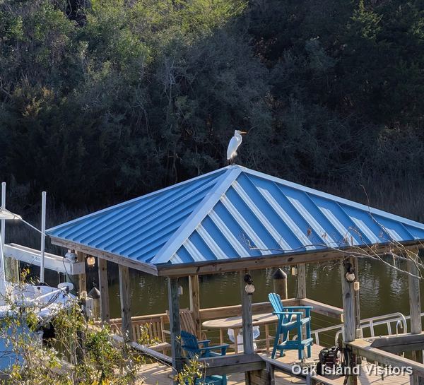 Salt marsh on Oak Island, March 2026