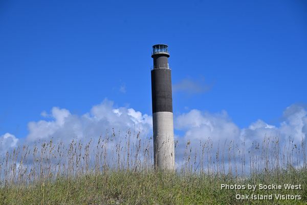 Oak Island Lighthouse rising behind sea oats on the dunes