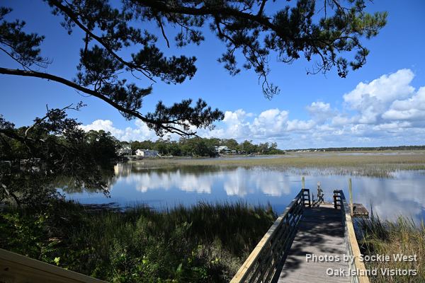 Pier out over the marsh at May Moore Park under pine branches