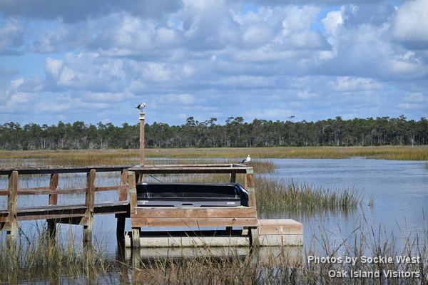 Floating dock on the marsh at May Moore Park