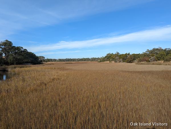 Salt marsh on Oak Island, December 2021