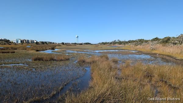 Salt marsh on Oak Island, October 2025