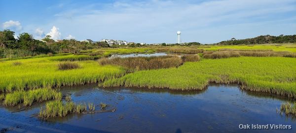 Salt marsh on Oak Island, August 2021