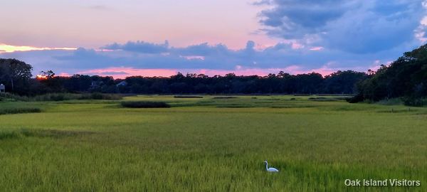 Salt marsh on Oak Island, August 2021