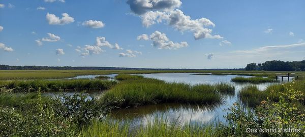 Salt marsh on Oak Island, September 2021