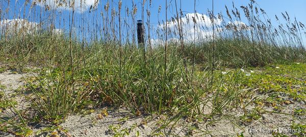 Oak Island beach, September 2021